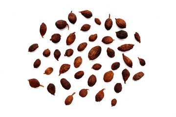 Black Cardamom or Greater Cardamom, White background.