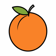 Peach fruit illustration isolated on white background