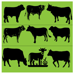 Cow vector set 5