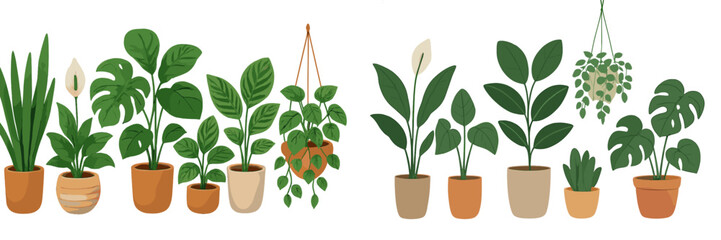 Various indoor plants arranged in decorative pots displayed on a white background