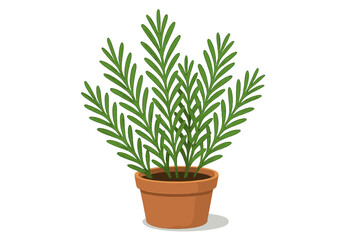 Green leafy plant in brown pot with upward growing stems in a bright setting