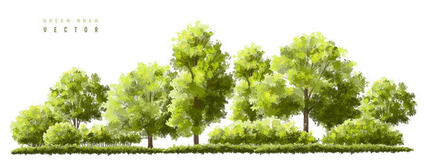 green grass on white background,  Vector watercolor green  tree or forest side view isolated on white background for landscape and architecture drawing,elements for environment or and garden,Shrub 