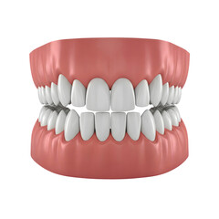 Obraz premium 3D render of upper and lower human teeth in open-mouth dental model, all teeth visible, gradient grey background, high detail
