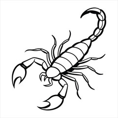 Fototapeta premium Line art of scorpion with raised tail.