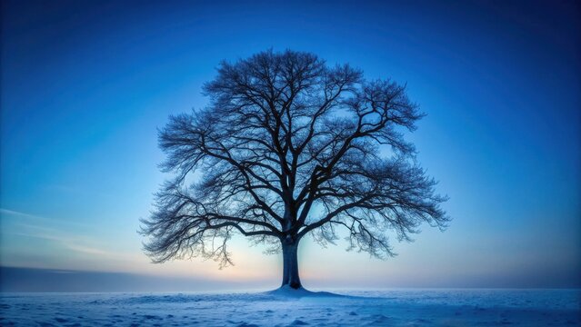 A solitary, leafless tree stands proudly in a snow-covered field under a vast, tranquil blue winter sky at dawn