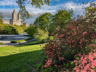 Central Park in spring