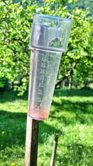 A plastic rain gauge is mounted on a wooden stick in a sunny garden with green foliage in the background