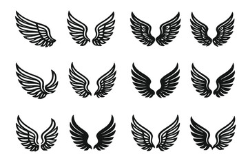 Various black wing designs showcasing intricate details and varying styles for creative projects and inspirational uses
