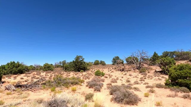 Utah Driving 1828 Canyonland National Park