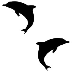 Fototapeta premium Dolphin silhouette, Double dolphin set box icon, dolphin illustration, silhouette, set icon, silhouette, dolphin icon