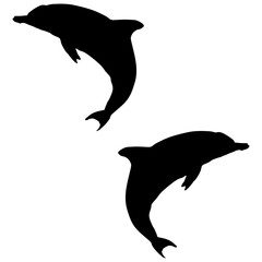 Dolphin silhouette, Double Dolphin set box icon, Dolphin illustration, silhouette, set icon, silhouette, Dolphin icon