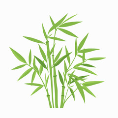 Lush green bamboo stalks and leaves illustration featuring a collection of beautiful bamboo plant stems and foliage isolated on a white background