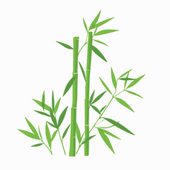 Stylized illustration of bamboo stalks and leaves with a clean and minimalistic design against a white background
