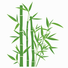 Artistic illustration of green bamboo stalks and leaves representing nature serenity and zen in a clean white background