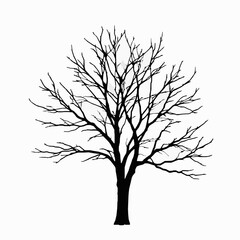 Obraz premium Silhouette of a bare tree against a white background offering a clean graphic suitable for nature themes and seasonal design projects