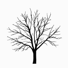 Obraz premium Silhouette of a bare tree against a clean white background illustrating the natural beauty of winter season and minimalist design