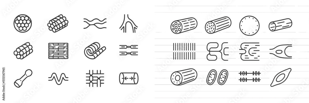 Poster various scientific illustrations of cellular structures and biological organisms with detailed desig