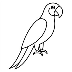 Fototapeta premium Line art of a macaw.