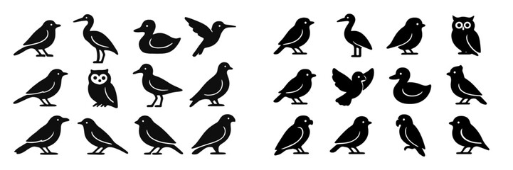 Various bird silhouettes displayed in a creative arrangement showcasing different species and characteristics