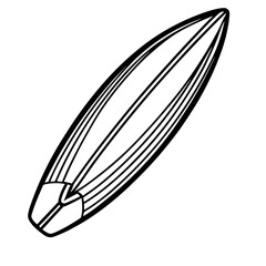 Surfing Board vector Sketch