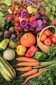 Autumn harvest of fresh pumpkin, tomato, pepper, carrot, zucchini vegetable with beautiful colorful fall flowers bouquet in garden. Organic fall vegetables background texture