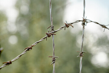 Rusty barbed wire fence close up with blurred green background on a sunny day in the countryside