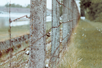 Barbed wire fence along a historical site near a river with overgrown grass and trees in the...