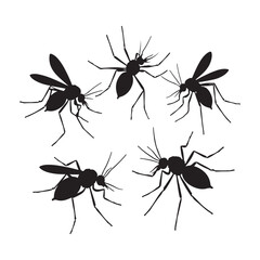 Set Mosquito Logo Design Vector Illustration.