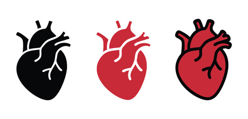 Realistic human heart vector drawing black and red , stock vector