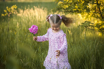 cheerful 3-year-old girl with pigtails in a pink dress with a peony walks in a village meadow