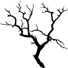 Fototapeta premium Dead Tree Branch Silhouette