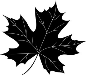 Naklejka premium Maple Leaf Silhouette Vector