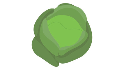 Green Cabbage Icon