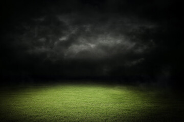 Obraz premium A grass real field background light natural green floor outdoor wallpaper