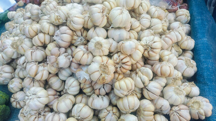 Fresh White Garlic Food Ingredient