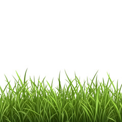 Fototapeta premium Vibrant Green Grass Field Isolated on Transparent Background for Graphic Designers and Projects