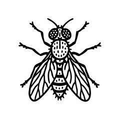  Tsetse Fly Doodle - Order Diptera
