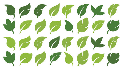 Naklejka premium set of leafs green vector