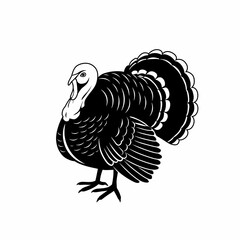 turkey vector illustration