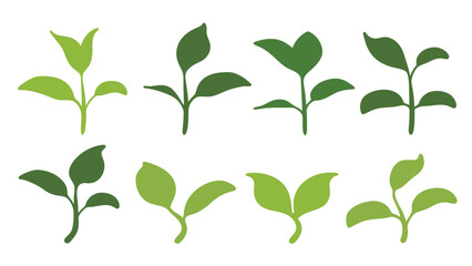 Green Young Plant  Vector Leaf Designs