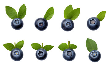 blueberries isolated on white