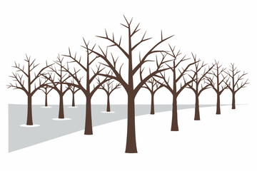 winter orchard with neatly aligned bare trees 