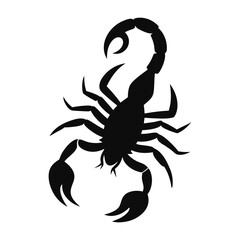 scorpion silhouette isolated on white