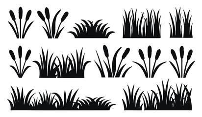 Set of Black Silhouettes of Grass and Cattail Reeds, A Vector Collection of Marsh and Pond Plants On White Background