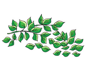 Cute cartoon hand drawn vector green leaves clipart.