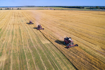 Three combine harvesters in a row are harvesting the last line of crops. Agrarian country