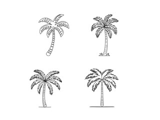 Obraz premium vector illustration of a palm tree. Palm tree vector. Palm tree silhoutte. Tropical palm tree.Vector set of hand-drawn palm trees in black and white outline.Minimal tropical design perfect for summer.