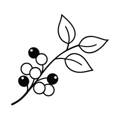Simple Branch with Berries Illustration