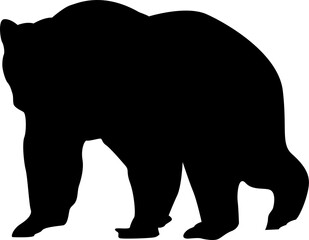 silhouette of a bear