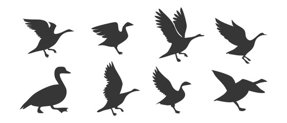 Fototapeta premium Monochrome Waterfowl Bird Silhouette, Simple Duck/Goose Graphic Element, On a White Background 